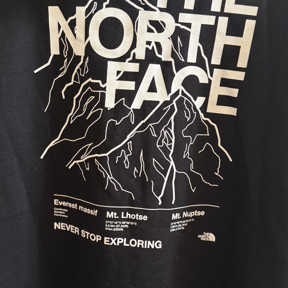 THE NORTH FACE Men's Novelty Graphic Hoodie Athletic Pullover SZ M, NWT - Picture 4 of 8